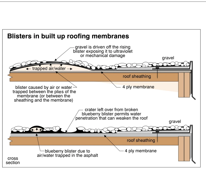 Blisters in built up roofing membranes