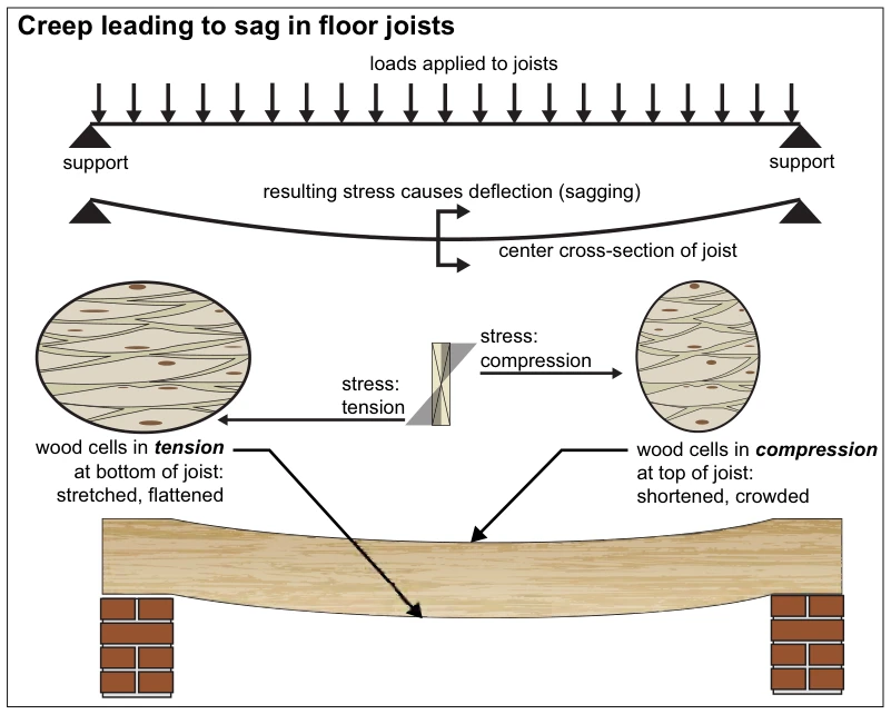 Creep leading to sag in floor joists