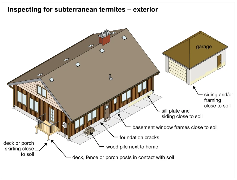 Inspecting for subterranean termites – exterior