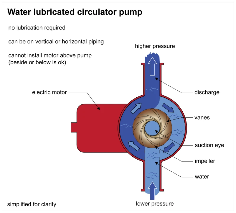 Water lubricated circulator pump