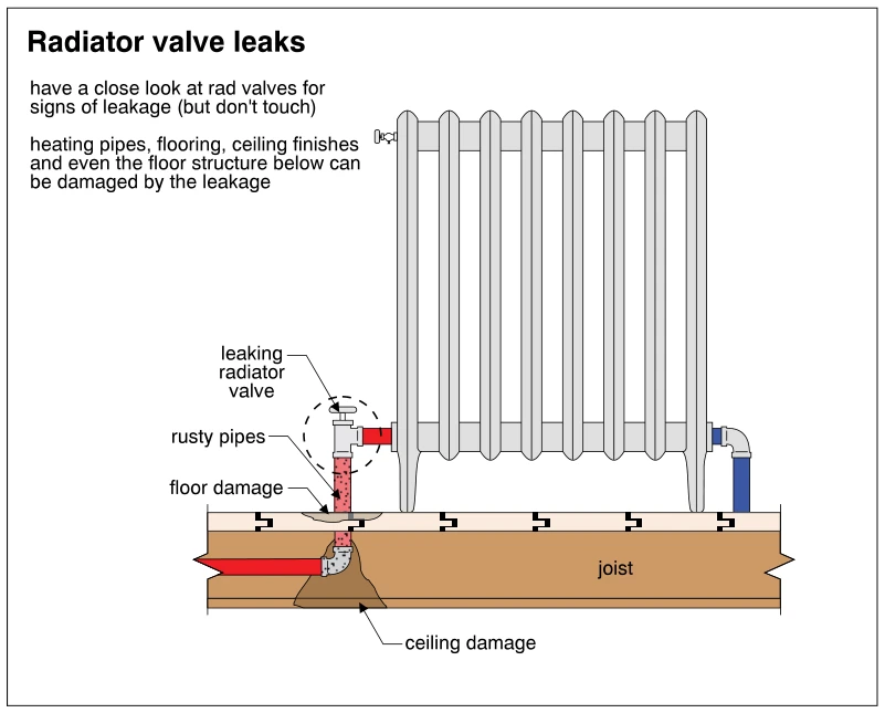 Radiator valve leaks
