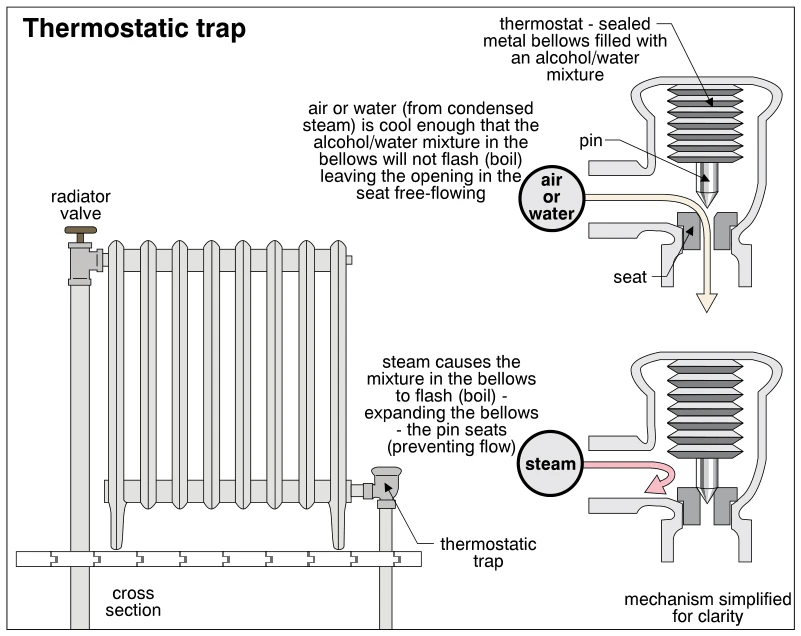 Thermostatic trap