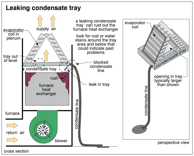 Leaking condensate tray