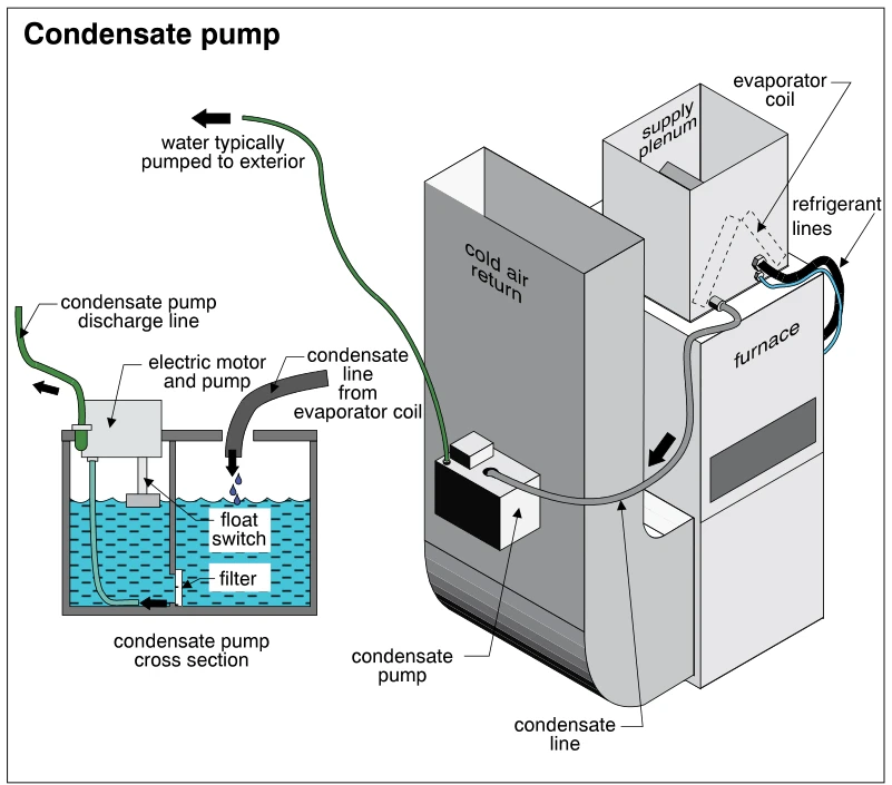 Condensate pump