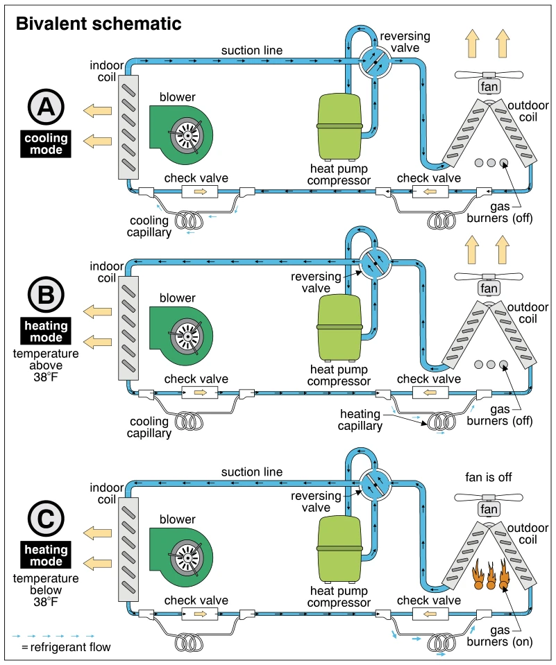 Bivalent schematic