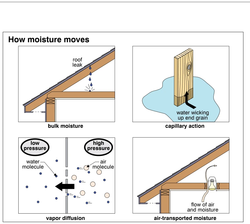 How moisture moves