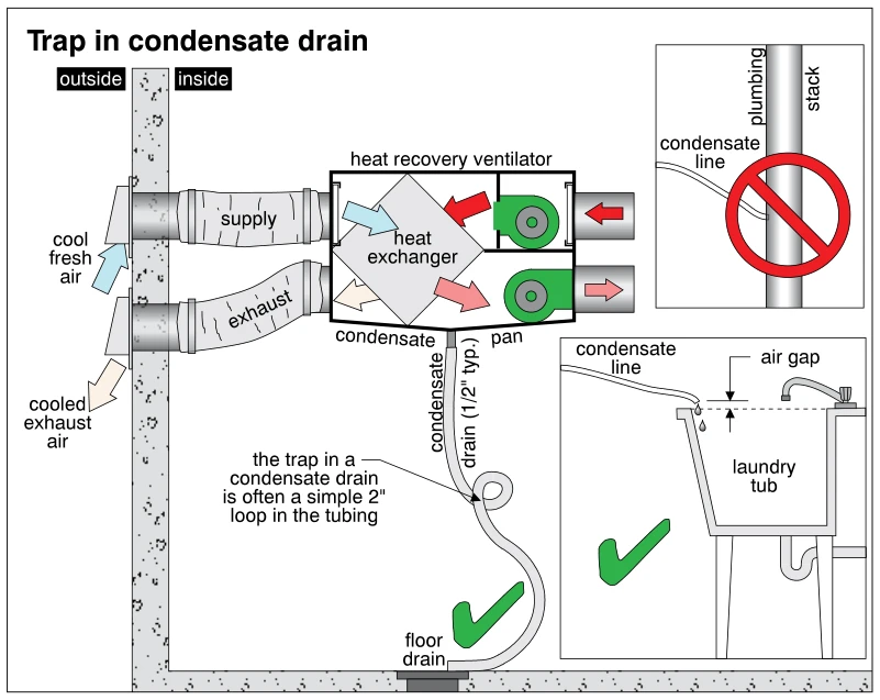Trap in condensate drain