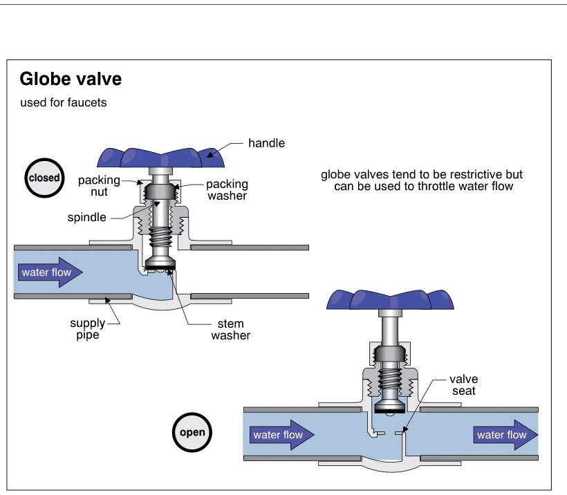 Globe valve