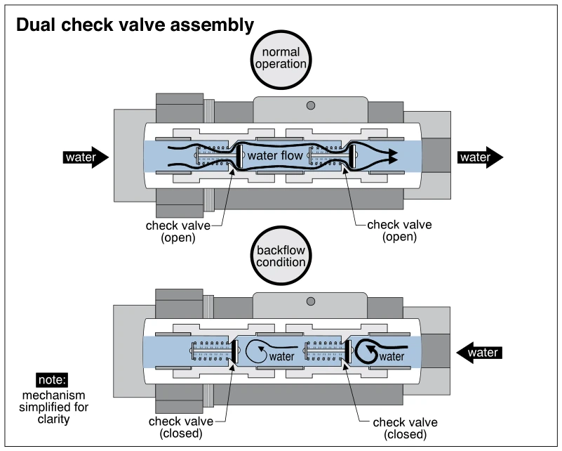 Dual check valve assembly