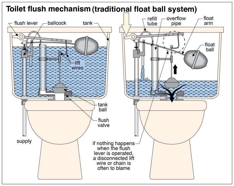 Toilet flush mechanism (traditional float ball system)