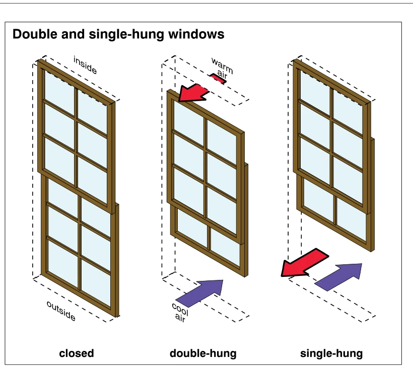 Double and single-hung windows