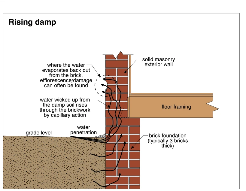 Rising damp