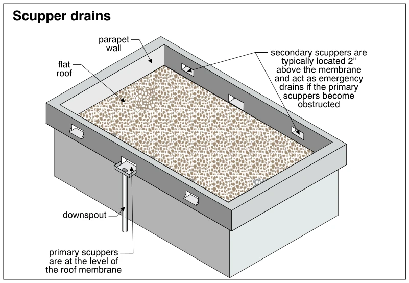 Scupper drains