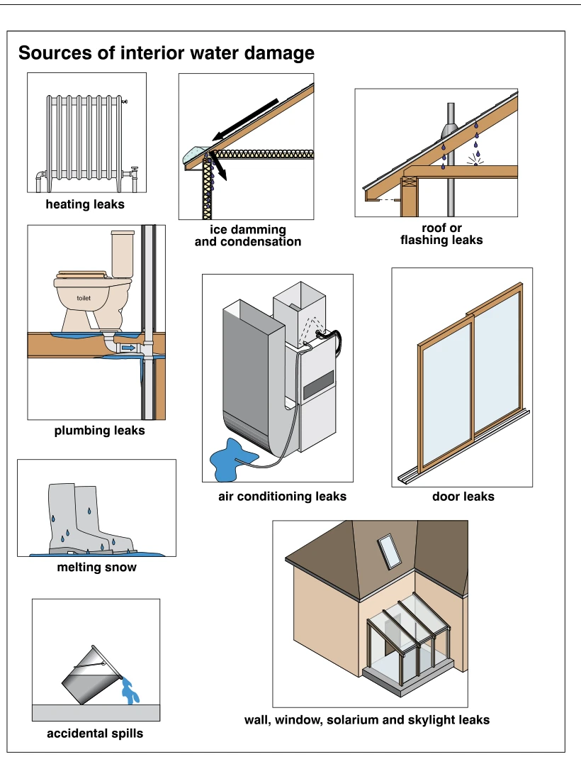 Sources of interior water damage