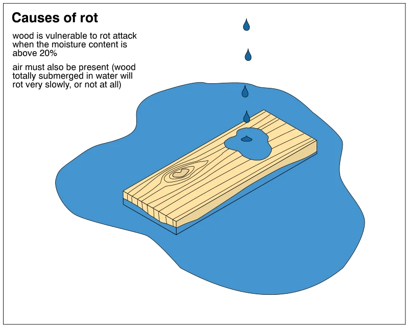 Causes of rot