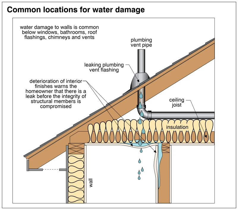Common locations for water damage
