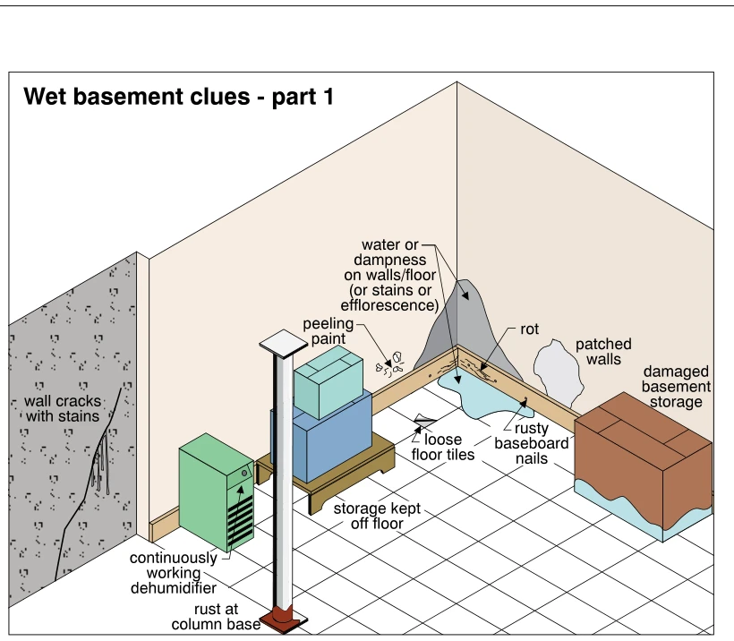 Wet basement clues - part 1