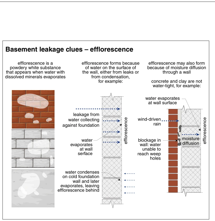 Basement leakage clues – efflorescence
